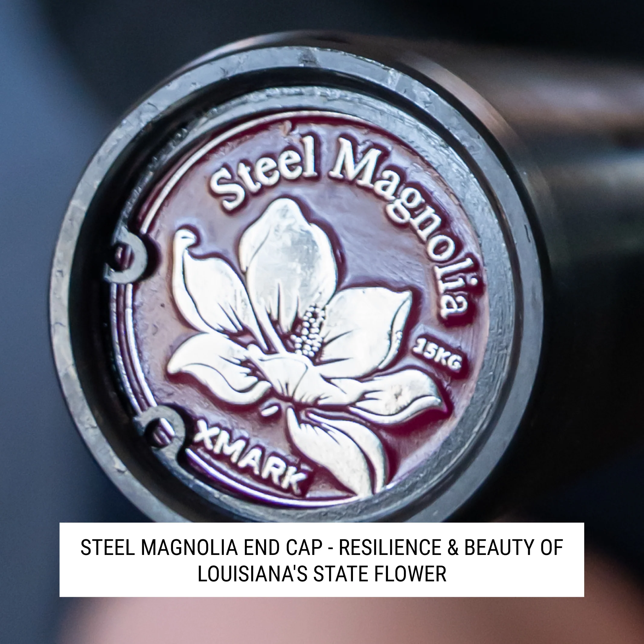 Steel Magnolia, IWF Women’s Training Bar 190,000 PSI, 15kg US Cerakote - Image 4